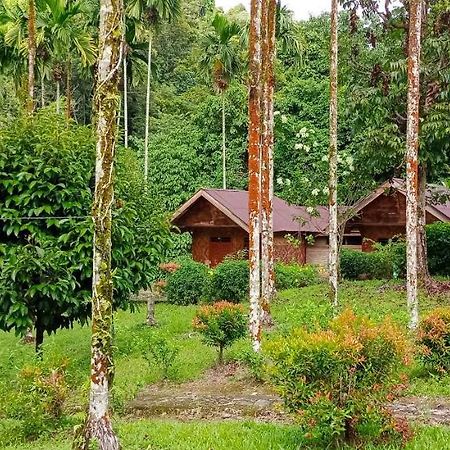 Green Lodge Tangkahan Extérieur photo