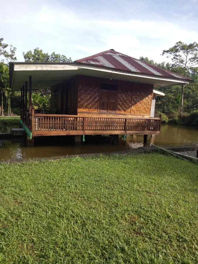 Green Lodge Tangkahan Extérieur photo