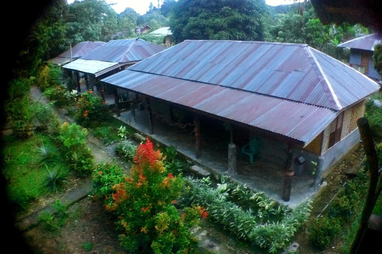 Green Lodge Tangkahan Extérieur photo