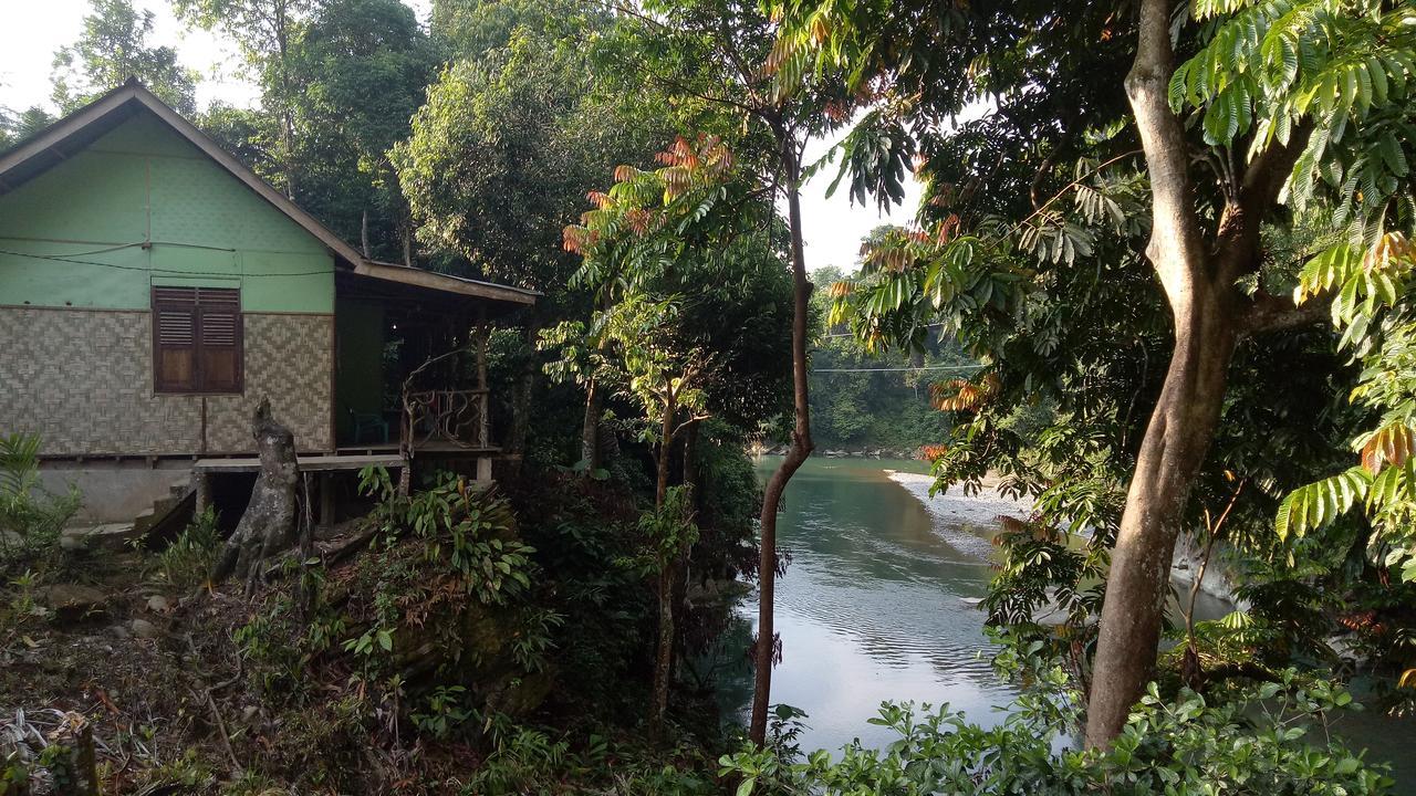 Green Lodge Tangkahan Extérieur photo