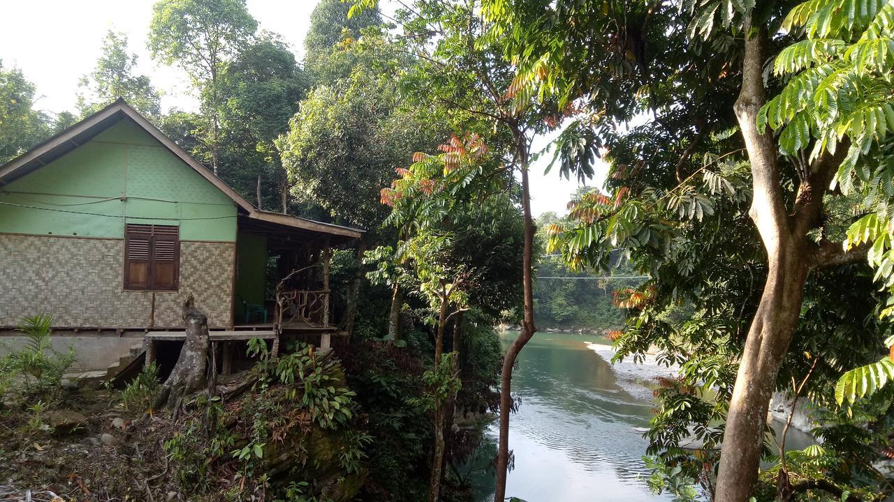 Green Lodge Tangkahan Extérieur photo